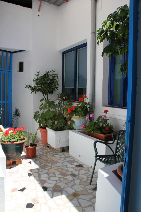 Joy Bed & Breakfast 2*